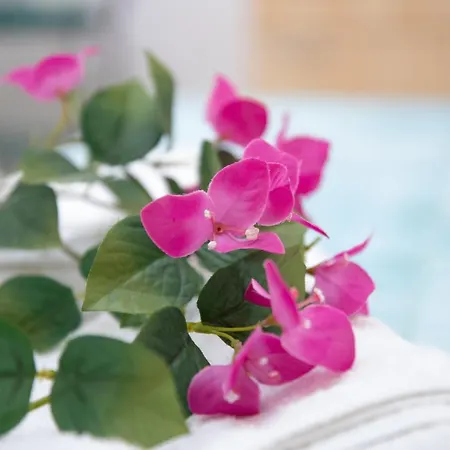 Tale Tale 아파트 *